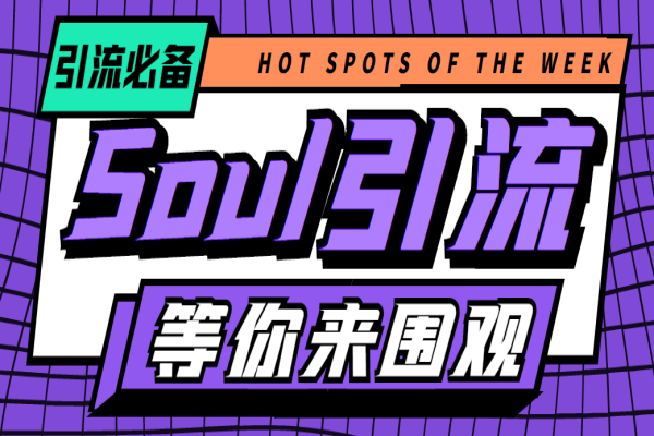 最新Soul全自动引流全类私域粉丝脚本,可根据关键词筛选精准用户日引100+【引流脚本+使用教程】