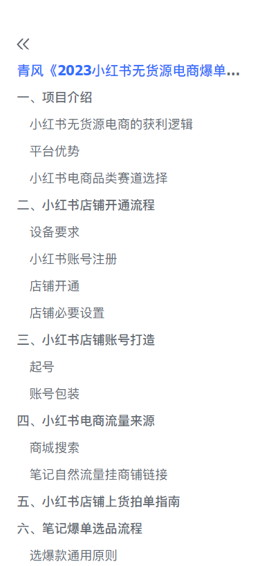 2023小红书无货源电商爆单终极版【视频教程+实战手册】保姆级实操从0起店爆单