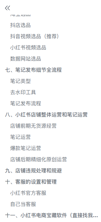 2023小红书无货源电商爆单终极版【视频教程+实战手册】保姆级实操从0起店爆单