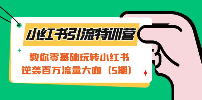 小红书引流特训营-第5期:教你零基础玩转小红书,逆袭百万流量大咖