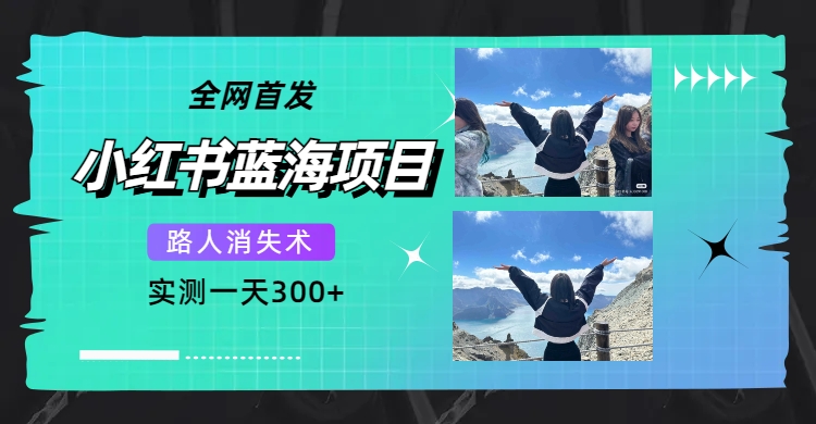 全网首发,小红书蓝海项目,路人消失术,实测一天300+(教程+工具)
