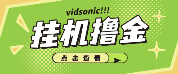 vidsonic挂机撸美金项目,单日收益30美金+工作室可批量搞