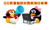 分享一个通过QQ群做知识付费的项目案例