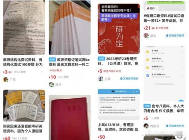 闲鱼卖项目资料日赚300+的详细教程