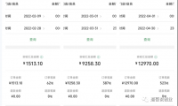 特别适合新手的小项目:资料号引流实操变现