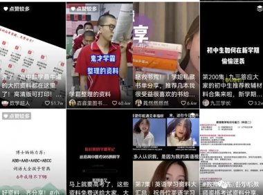 零投入虚拟资料项目,玩法简单粗暴!