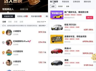 懂车帝搬砖零门槛项目-拍车赚钱计划: 稳定日赚1000+