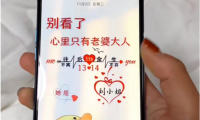 手机壁纸定制项目,新手轻松月入5000+