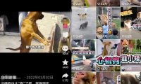 方言搞笑配音项目思路,普通人都能轻松上手的简单副业