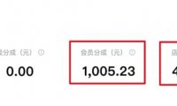 无脑搬运百度墨斗鱼知识店铺,日入300的稳赚野路子