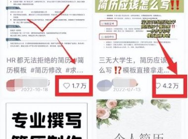 虚拟服务类项目:简历代做,操作简单,日赚500+