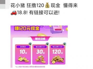 花小猪白撸120元,多号多撸,免费分享