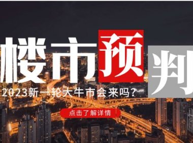 某公众号付费文章《2023楼市预判:新一轮大牛市会来吗?》!