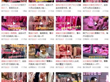 用中视频项目拍摄猪肉视频,稳定获得持续收益,轻松赚钱