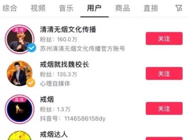 年入百万的戒烟IP盘子