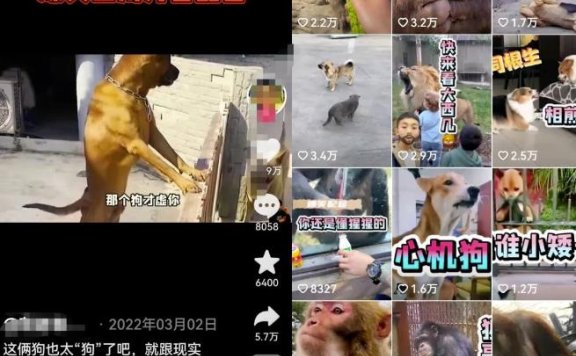 方言搞笑配音项目思路,普通人都能轻松上手的简单副业