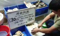 开蚌取珍珠玩法套路,一月搞百万路子!