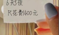 不起眼的旅游中介项目,别人在闷声发财!