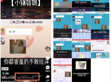 抖音唱歌群自动变现项目,利润一天大几百