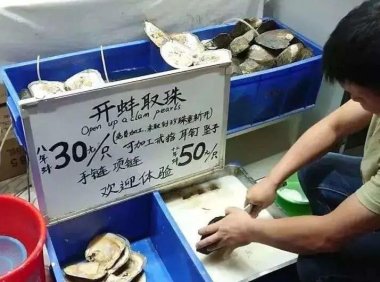 开蚌取珍珠玩法套路,一月搞百万路子!