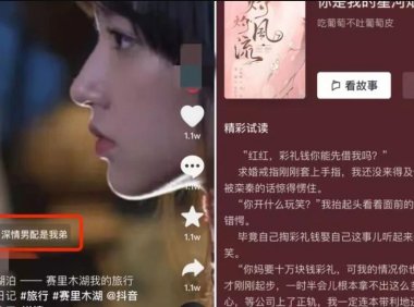 抖音故事新项目 : 小说推文新玩法