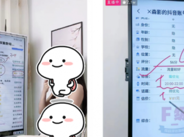 日赚千元的抖音直播账号检测冷门玩法