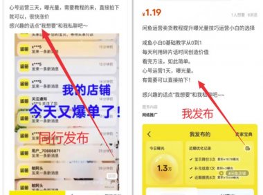 新手一天轻松搞个30-100,虚拟产品+导流私域变现,0门槛0难度,直接搬运即可!