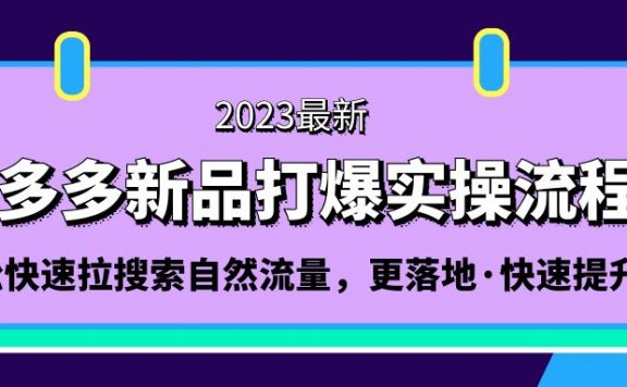 拼多多-新品打爆实操流程：轻松快速拉搜索自然流量，更落地·快速提升!