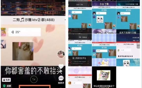 抖音唱歌群自动变现项目,利润一天大几百