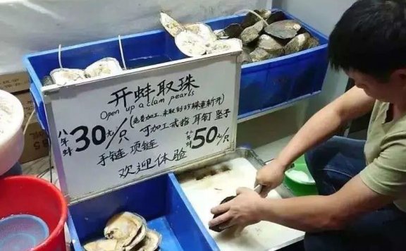 开蚌取珍珠玩法套路，一月搞百万路子！