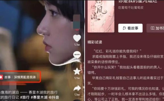 抖音故事新项目 : 小说推文新玩法