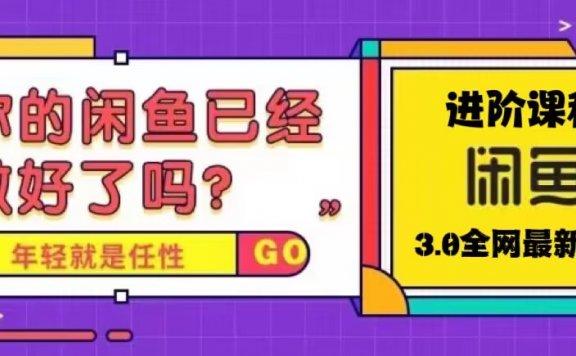 火爆全网的闲鱼玩法进阶课程，单号日入1K的闲鱼进阶课程