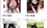 小红书AI绘画项目,一天搞几百的路子!
