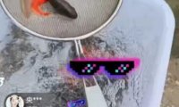 抖音云放生直播项目变现玩法!