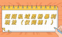陌陌私域男粉暴利玩法(仅揭秘!)