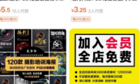 日赚800+的淘宝会员制虚拟资源项目