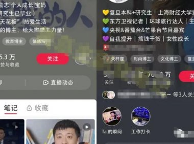 小红书个人IP模板+发布最佳时间,轻松打造高质量账号,玩法无私分享给你