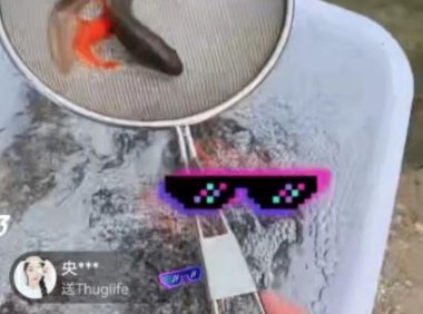 抖音云放生直播项目变现玩法!