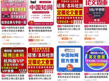刚需市场“论文查重”副业思路,掌握方法轻松月入过万