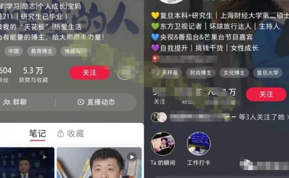 小红书个人IP模板+发布最佳时间，轻松打造高质量账号，玩法无私分享给你