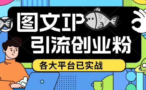 ks dy 小红书图文ip引流实操课，日引50-100！各大平台已经实战