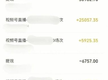 视频号新赛道,付费直播项目!日入500-1000+