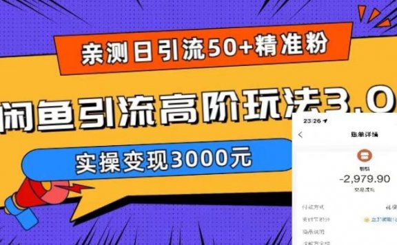实测日引50+精准粉,闲鱼引流高阶玩法3.0,实操变现3000元