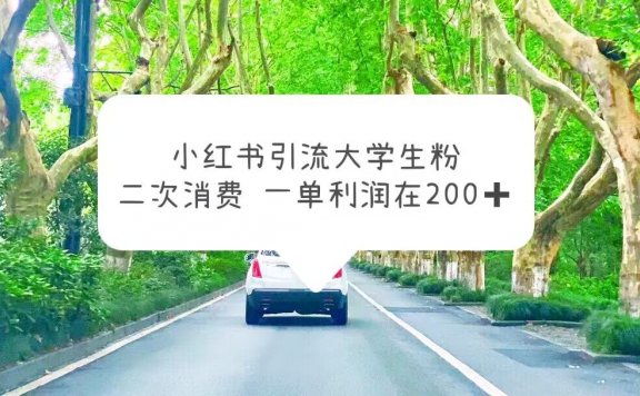 小红书引流大学生粉,变现项目,一单利润在200+(教程+资源)