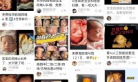 小红书零门槛日收益500+的小项目玩法,AI生成四维彩超图副业思路