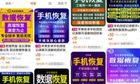 数据恢复项目,轻松日入500-1000+