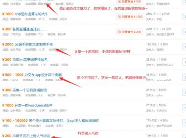 闷声发财的人都在玩些什么项目!