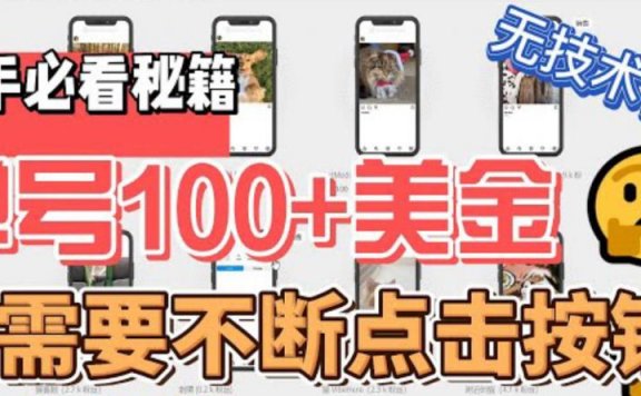 最新零成本无任何技术含量,单号100美金暴利项目,可批量操作