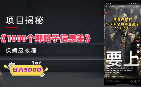 1000个野路子信息差保姆式教程-单日变现3000+的玩法解密