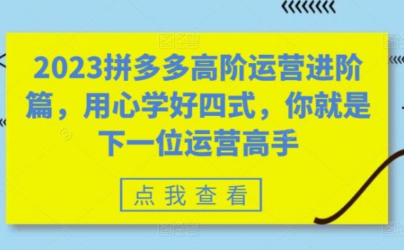 2023拼多多高阶运营进阶篇,用心学好四式,你就是下一位运营高手